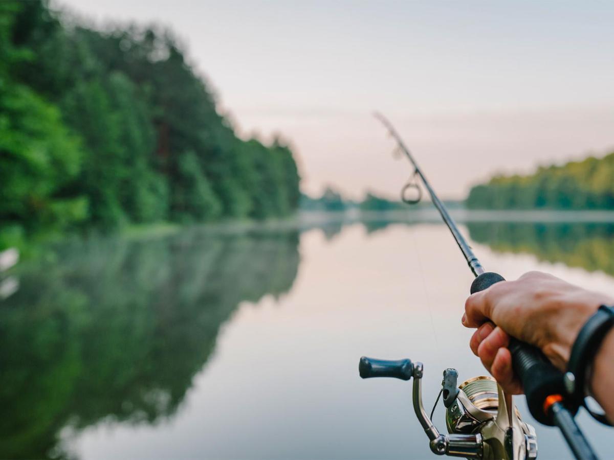 Bells Marina & Fishing - Santee Marion By I95 - Family Adventure, Pets On Request! 3* Eutawville