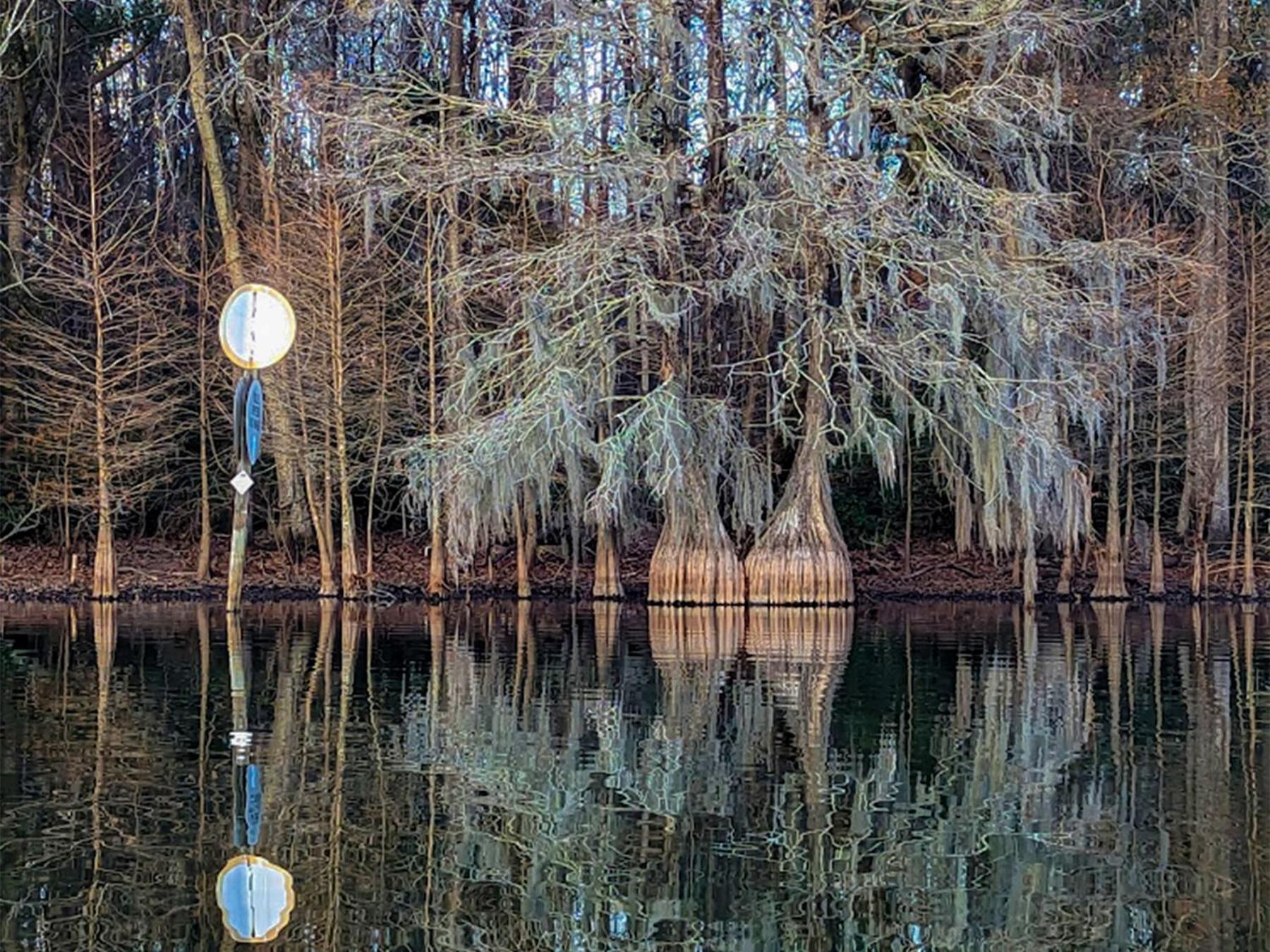 Hotel Bells Marina & Fishing - Santee Marion By I95 - Family Adventure, Pets On Request!