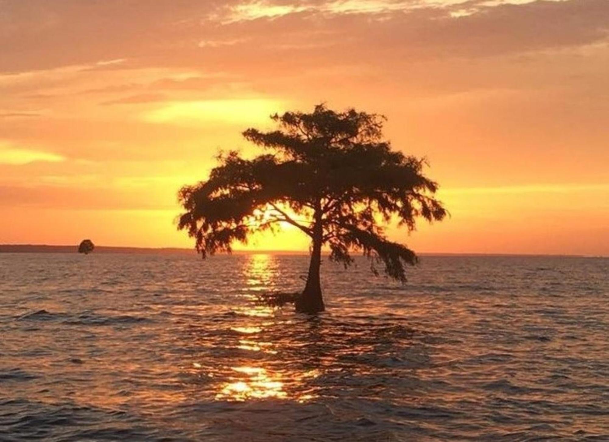 Hotel Bells Marina & Fishing - Santee Marion By I95 - Family Adventure, Pets On Request!